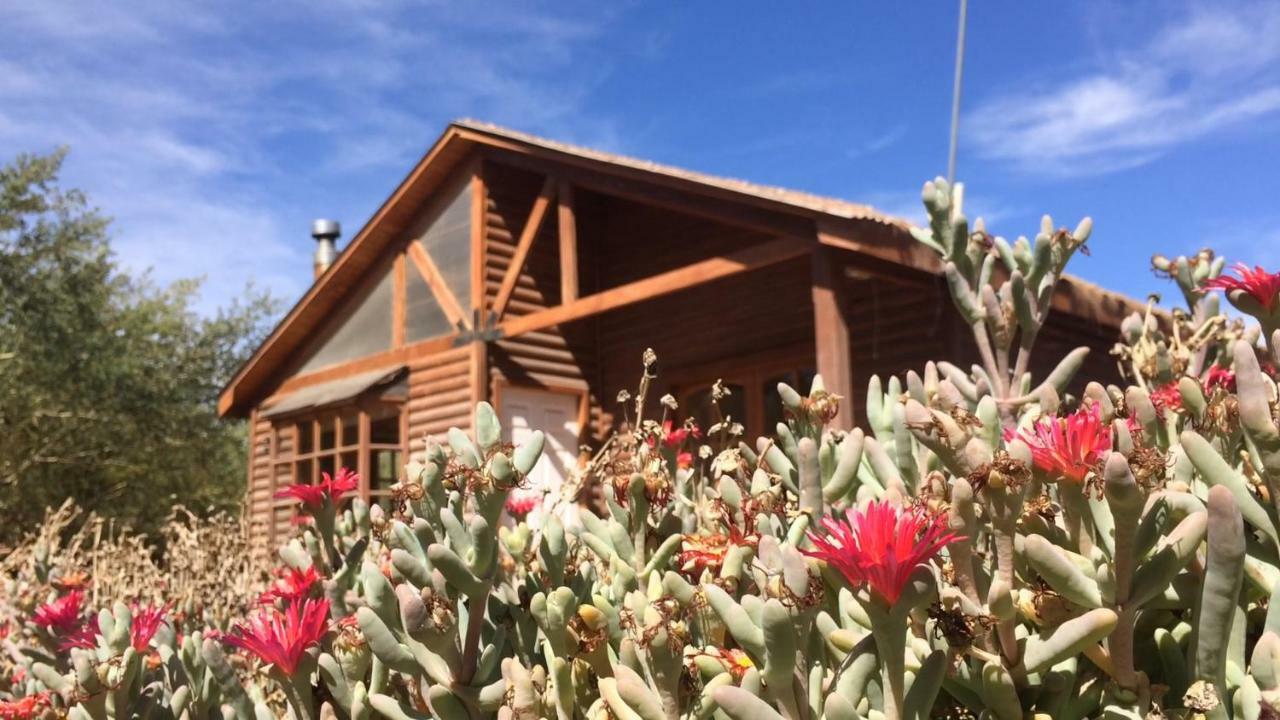 Cabanas Dona Juanita San Pedro de Atacama Dış mekan fotoğraf